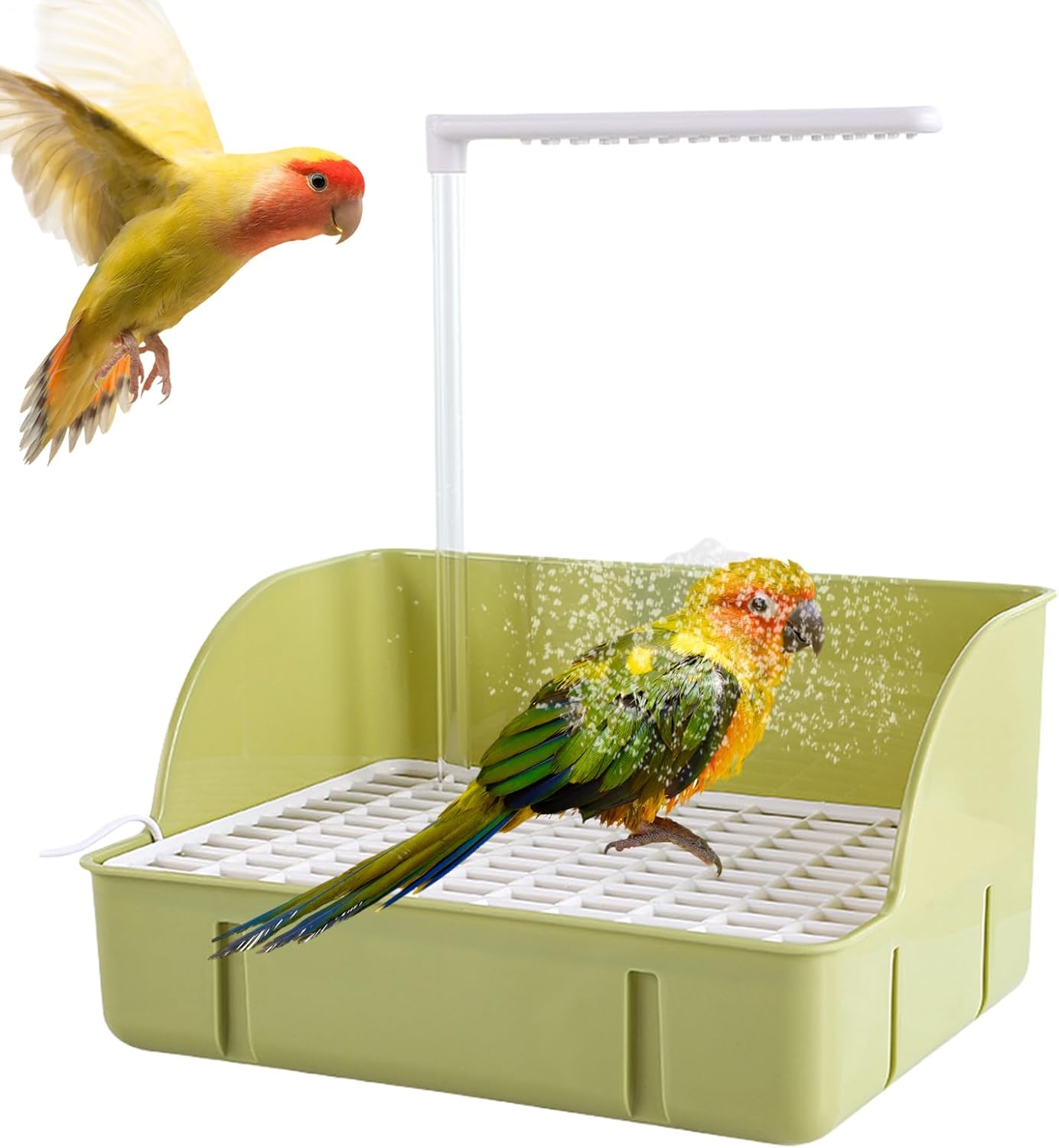 Douche Automatique pour Oiseaux - Anti-Ennui - Facile à Assembler