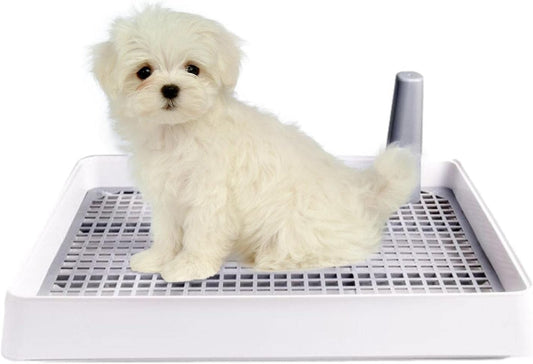 Toilettes d'intérieur pour chien - Polypropylène de haute qualité - Design anti-éclaboussures