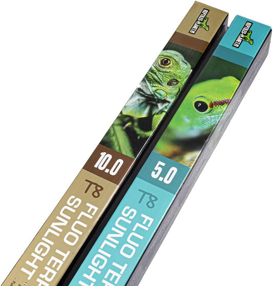 Tube Fluorescent T8 - UVB Moyen - Pour Reptiles Tropicaux