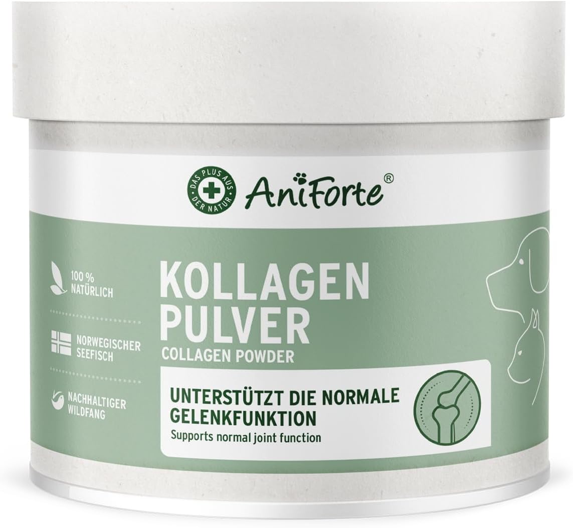 Poudre de Collagène pour Chiens - Peptides Bioactifs - Poisson Sauvage