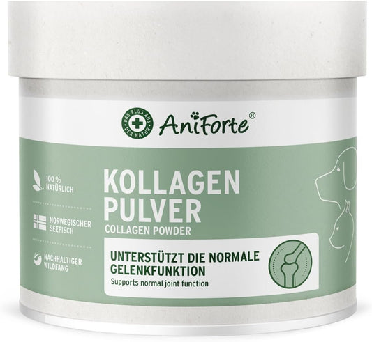 Poudre de Collagène pour Chiens - Peptides Bioactifs - Poisson Sauvage