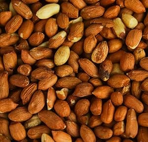Cacahuètes Entières pour Oiseaux - Qualité Premium - Sans Aflatoxine