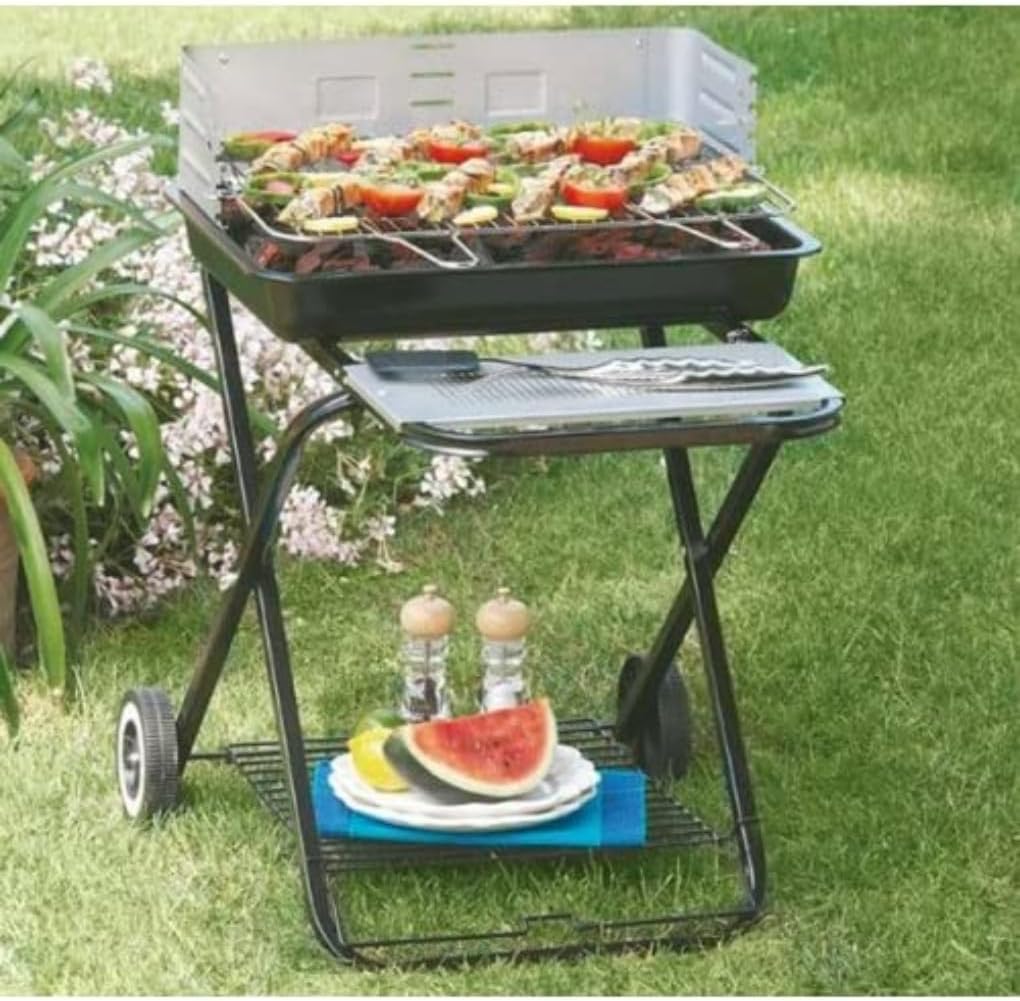Barbecue à Charbon - Acier - Pliable