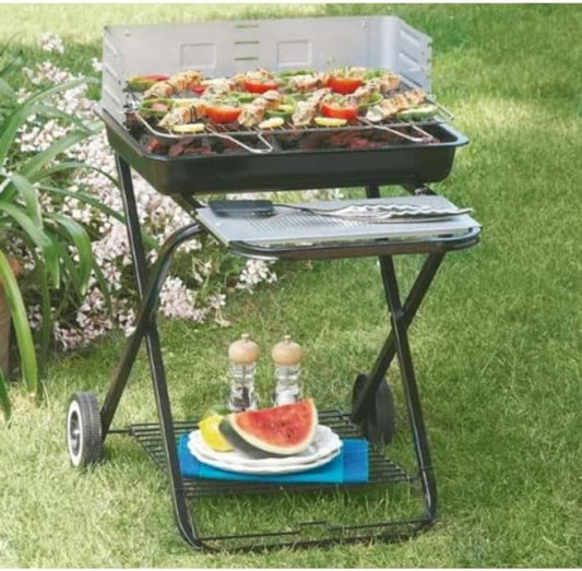 Barbecue à Charbon - Acier - Pliable