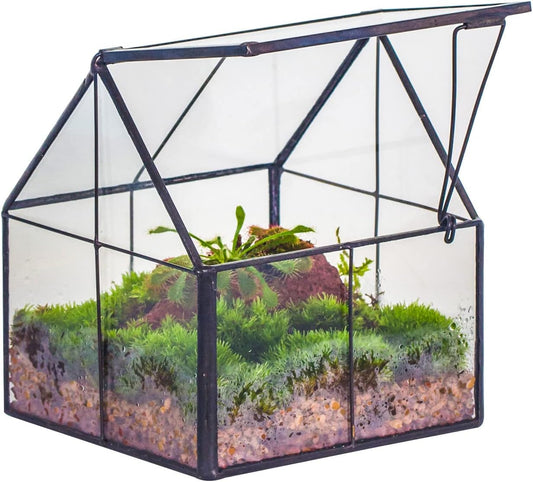 Terrarium Géométrique en Verre - Mini Noir - Couvercle Amovible