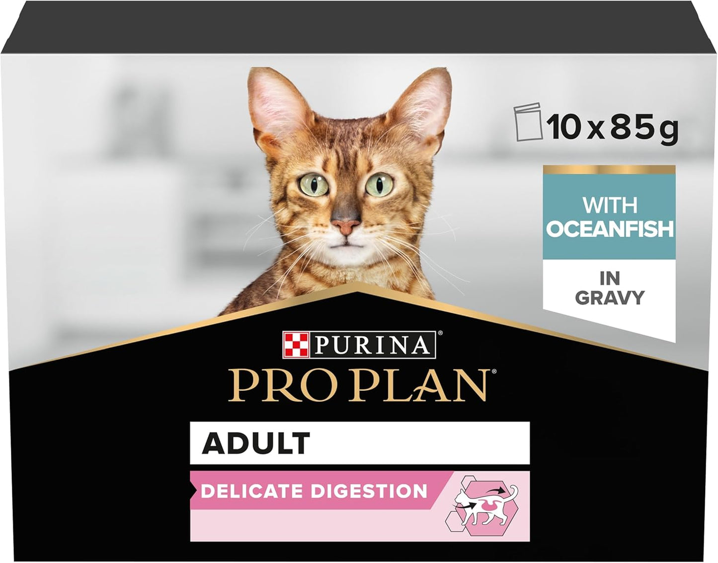 Nourriture pour Chats Adultes - Digestion Délicate - Poisson Océan