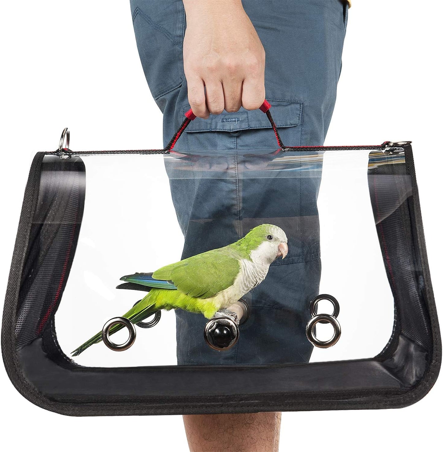 Cage de Transport pour Oiseaux - Léger et Portable - Vue Panoramique