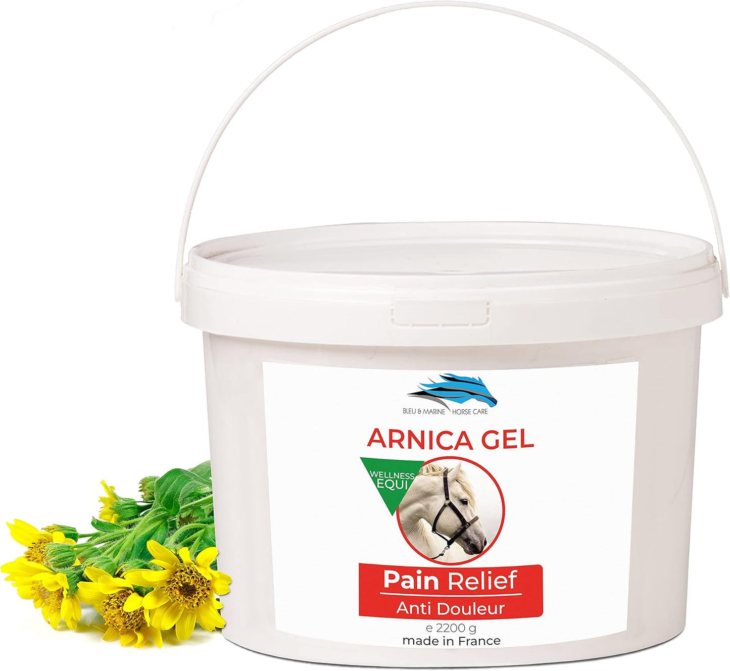 Gel d'Arnica Bio - Concentré 90% - Hydratant & Anti-Imperfections