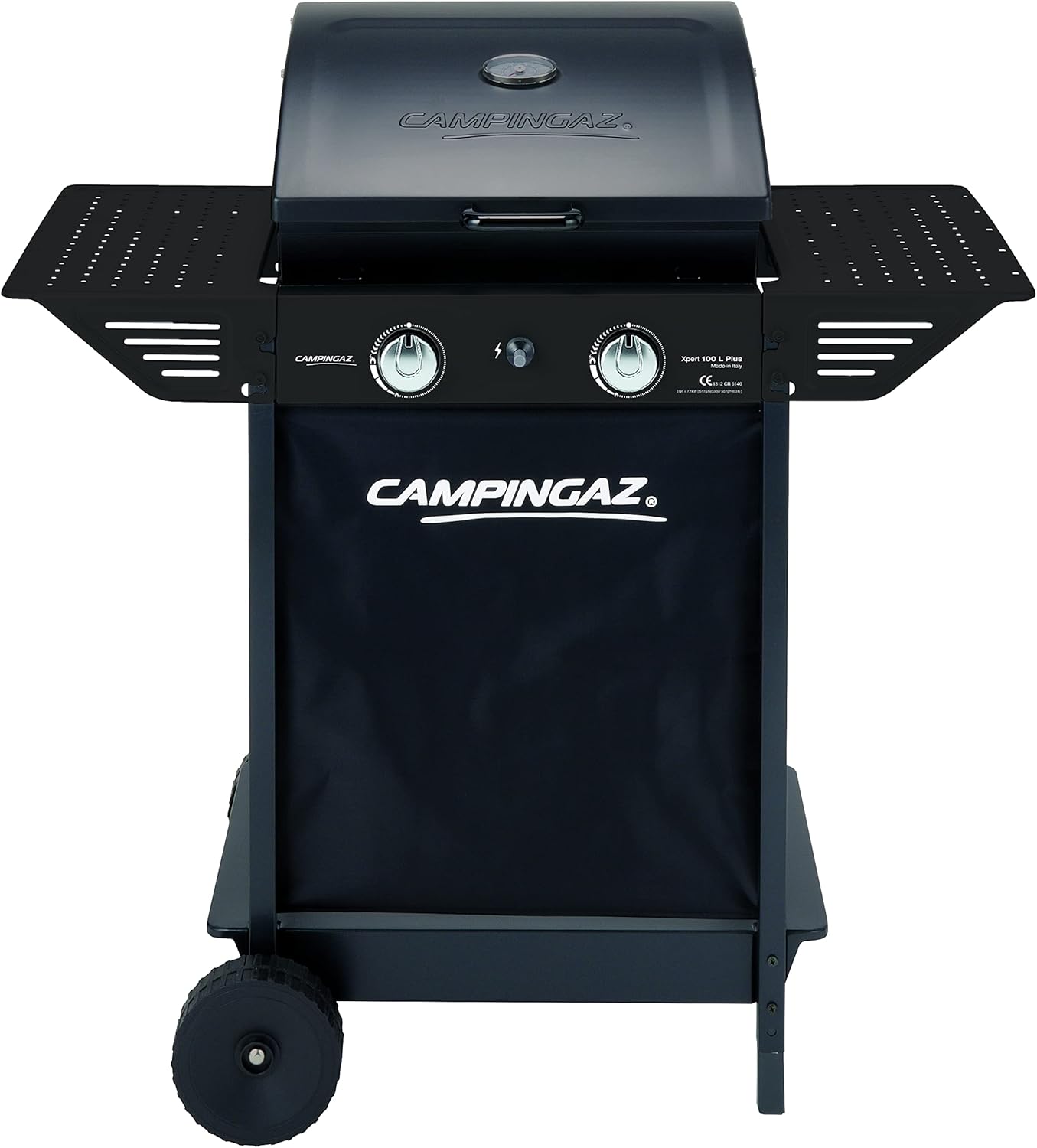 Barbecue à Gaz - 2 Brûleurs Haute Performance - Grilles en Acier Chromé