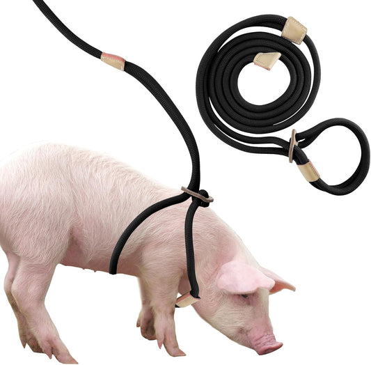 Harnais pour Mini Cochon - Corde Réglable 2,6m - Confort et Sécurité