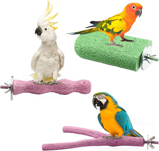 Lot de 3 Perchoirs Antidérapants - Résine Solide - Couleurs Vives