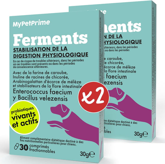 Probiotiques pour Chien - 6,5M UFC - Formule Vétérinaire