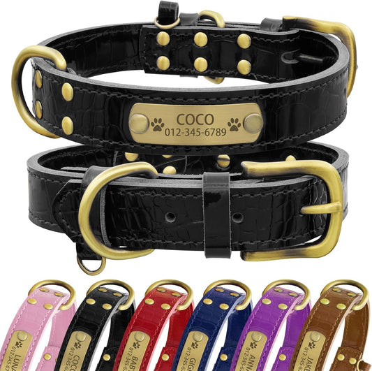Collier pour Chien en Cuir Véritable - Plaque d'Identification Personnalisée - Durable et Élégant