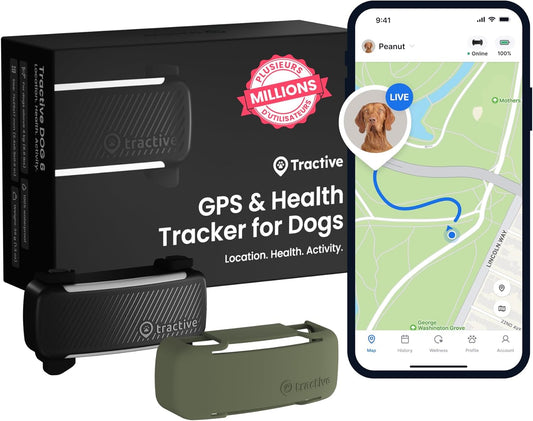 Collier GPS pour Chien - Localisation en Direct - Alertes Anti-Fugue
