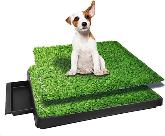Toilettes pour Chiens - Gazon Artificiel - Plateau Amovible