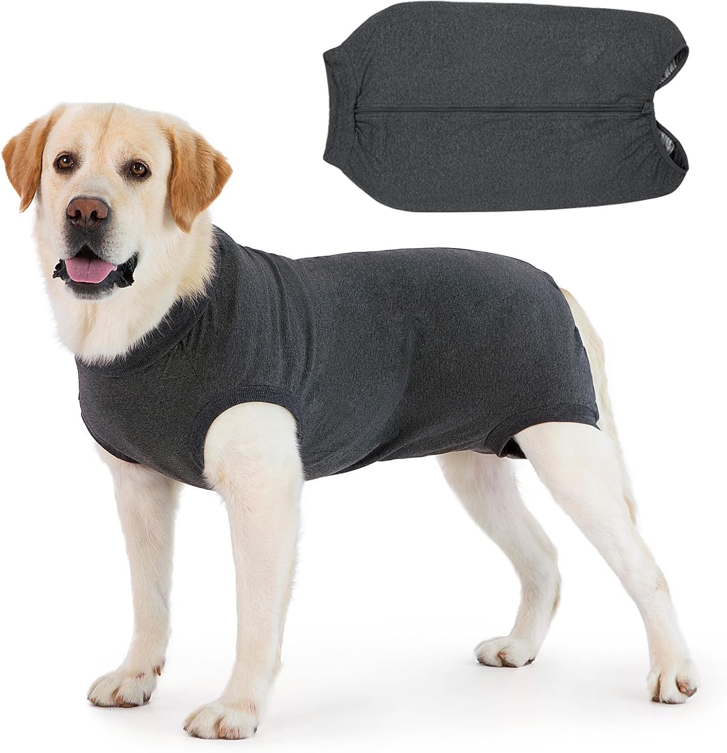 Combinaison Chien - Fermeture Éclair - Alternative Collerette