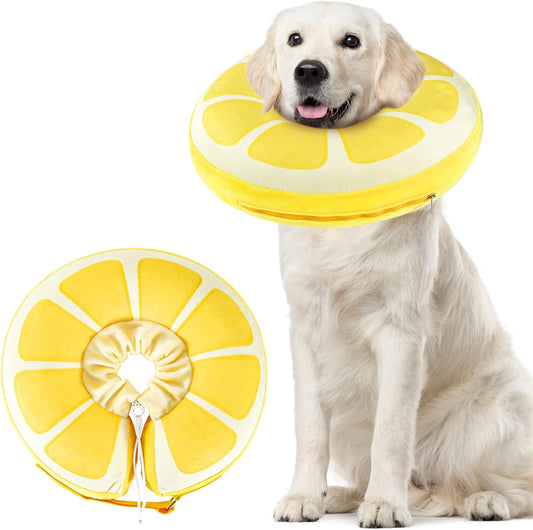 Collerette Gonflable pour Chiens - Anti Léchage - Confortable et Réglable