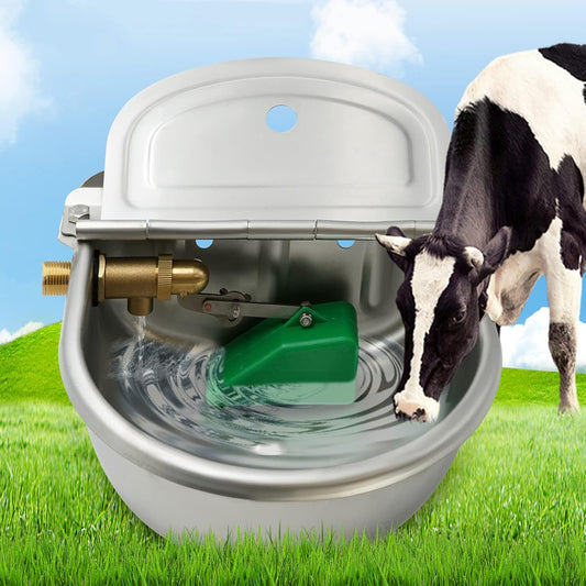 Abreuvoir Automatique - Acier Inoxydable - Vanne Flottante en Laiton