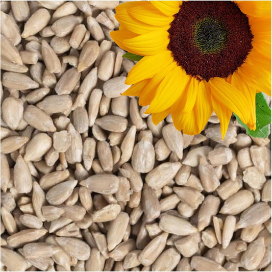Graines de Tournesol Décortiquées - Énergie Hivernale - Nourriture Naturelle