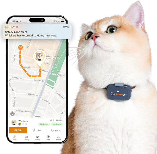 Tracker GPS pour Chats - Suivi en Temps Réel - Portée Illimitée