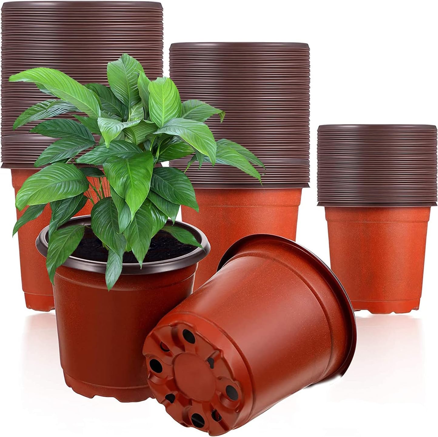 Pots de Fleurs en Plastique - 100 Pièces - Drainage Efficace