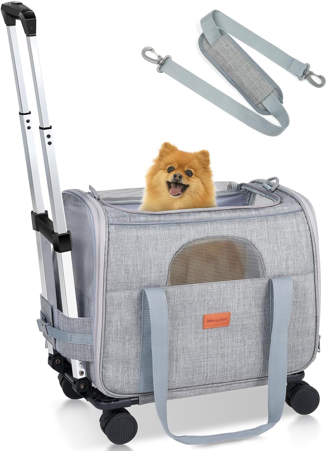 Sac de Transport pour Chat - Pliable - Roulettes Amovibles