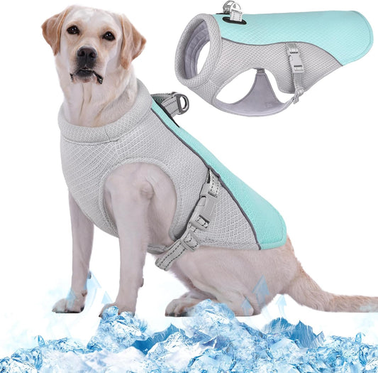 Gilet Rafraîchissant pour Chien - Matériau Respirant - Bandes Réfléchissantes