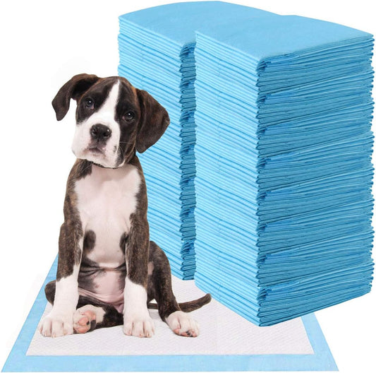 Tapis de Propreté Jetable - Absorption Rapide - Anti-Fuite