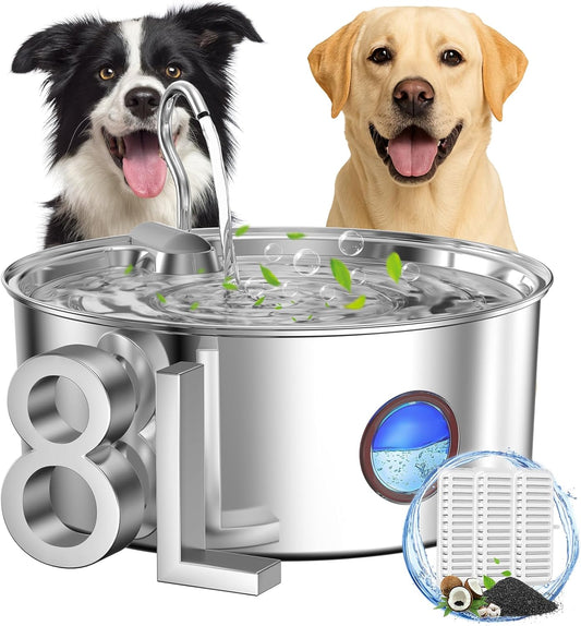 Fontaine à Eau pour Chiens - Capacité 8L - Filtration Efficace