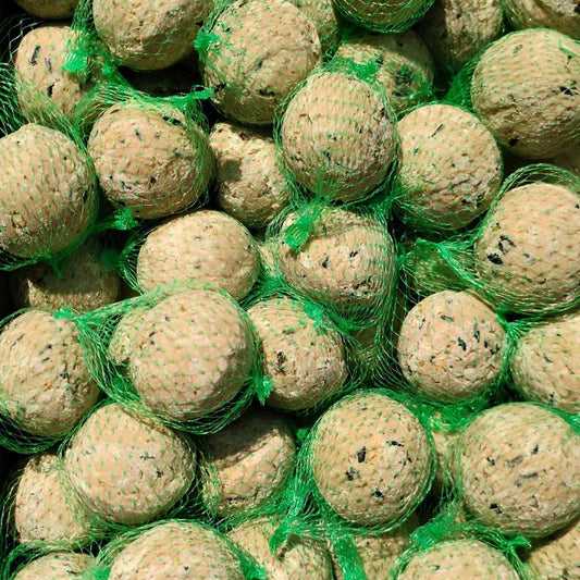 Boules de Graisse pour Oiseaux - Formule Premium - Lot de 200 avec Insectes