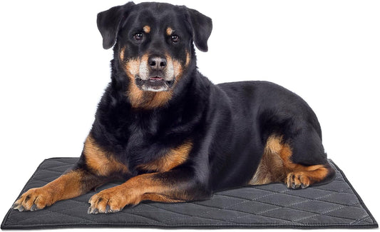 Lit pour Chien - Indestructible et Lavable - Séchage Rapide