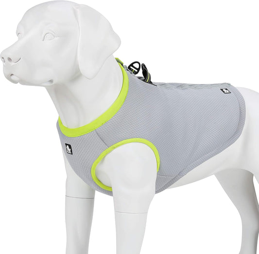 Gilet Rafraîchissant pour Chien - Réglable - Haute Visibilité