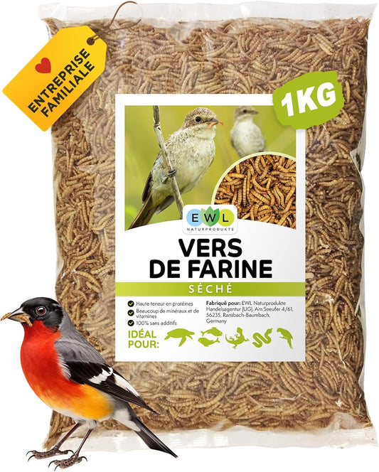 Vers de Farine Séchés - Riche en Protéines - Naturel et Sans Additifs