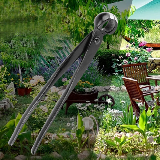 Cutter pour Bonsaï - Coupe Concave Ergonomique - Acier Haute Qualité