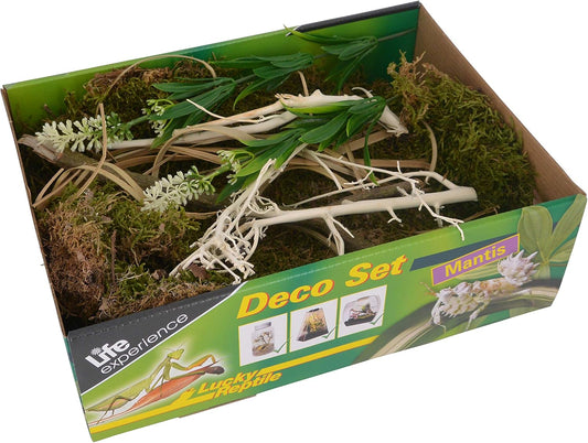 Kit de Décoration - Nano Terrarium - Spécial Mantes Religieuses