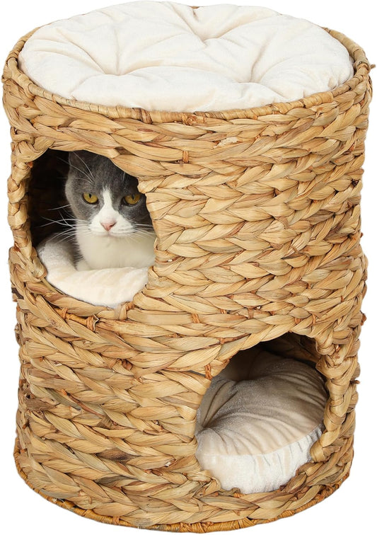 Tonneau à Griffer pour Chat - Jacinthe d'Eau - Coussin Amovible