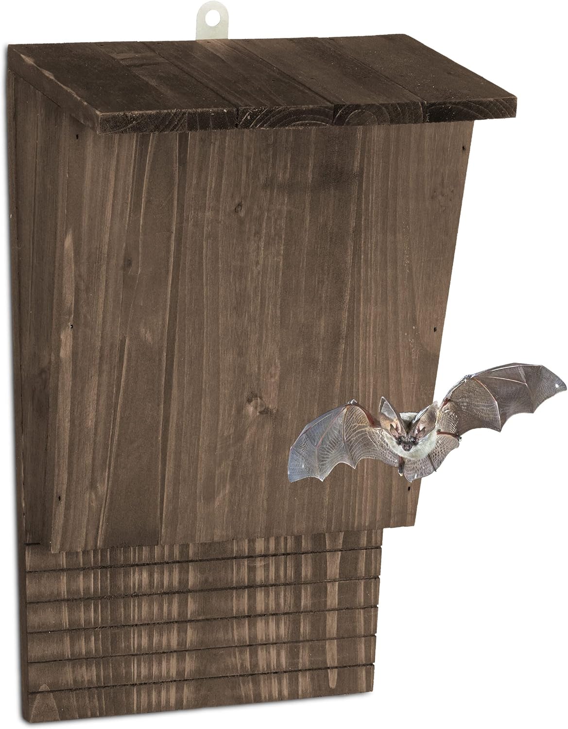 Abri à Chauves-Souris - Bois de Sapin Naturel - Protection Contre Prédateurs