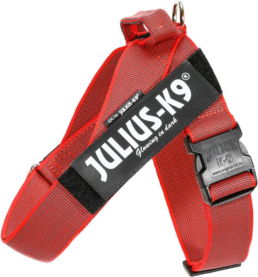 Harnais pour Chien - Ergonomique - Sécurité Anti-Casse
