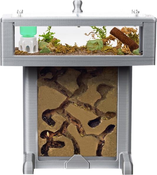 Fourmilière 3D en Mousse - Kit T avec Fourmis Incluses - Couleur Gris