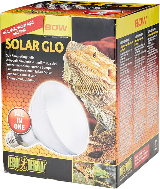 Lampe pour Reptile - UVB et UVA Excellents - Prévention Ostéomalacie