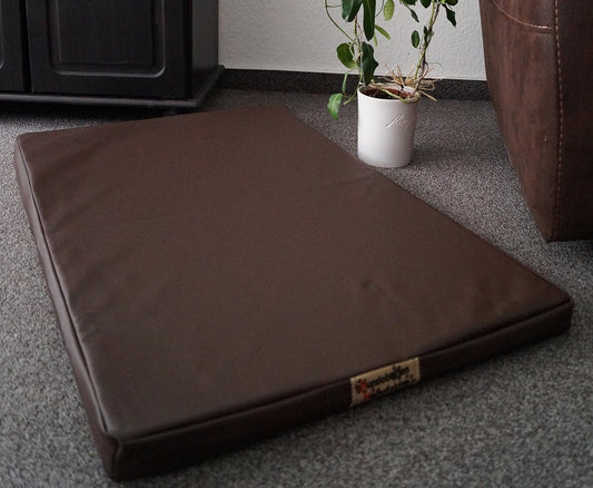Matelas pour Chien - Similicuir Facile d'Entretien - Mousse 5 cm