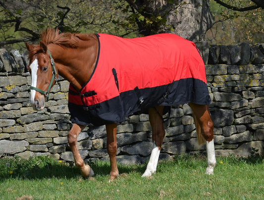 Couverture de Pluie pour Cheval - Imperméable 600D - Rembourrage 100g
